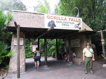 GorillaFalls